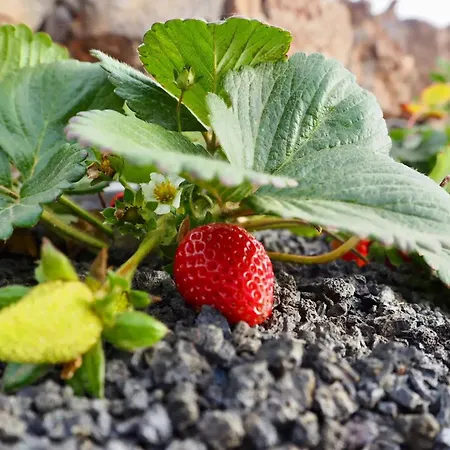 Casa Jenabe Вилла