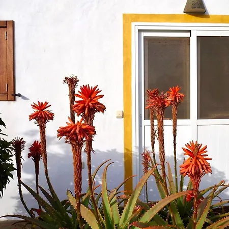 Casa Jenabe וילה *