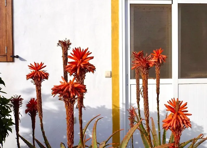 Casa Jenabe Βίλα *